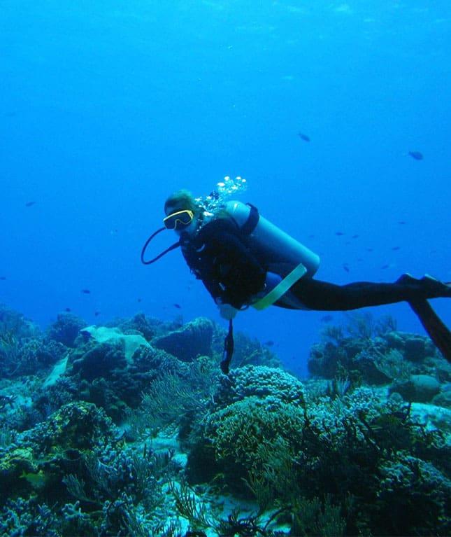 A man in black wetsuit diving on coral reef.