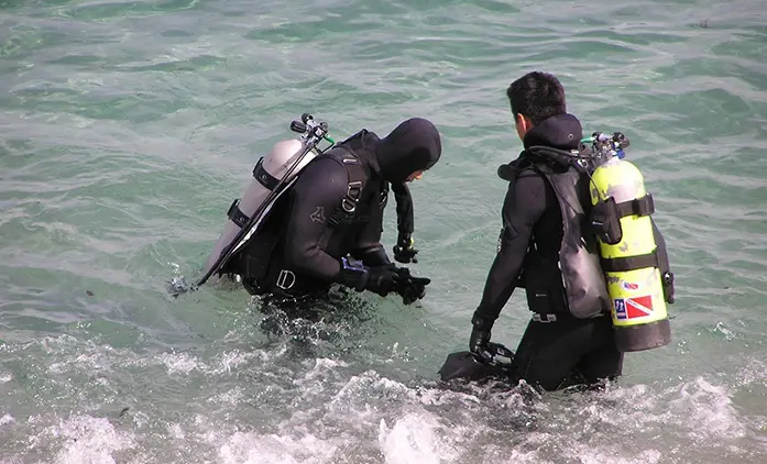 Two people in wetsuits and scuba gear are wading into the water.