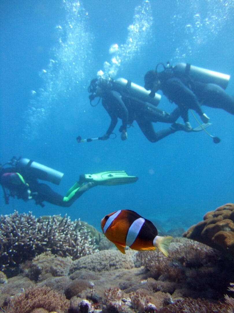 A group of scuba divers swimming in the ocean.