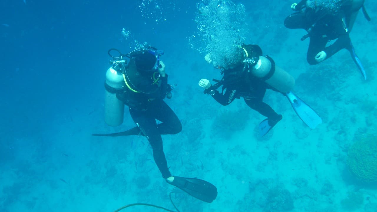 Two people scuba diving in the ocean with a camera.