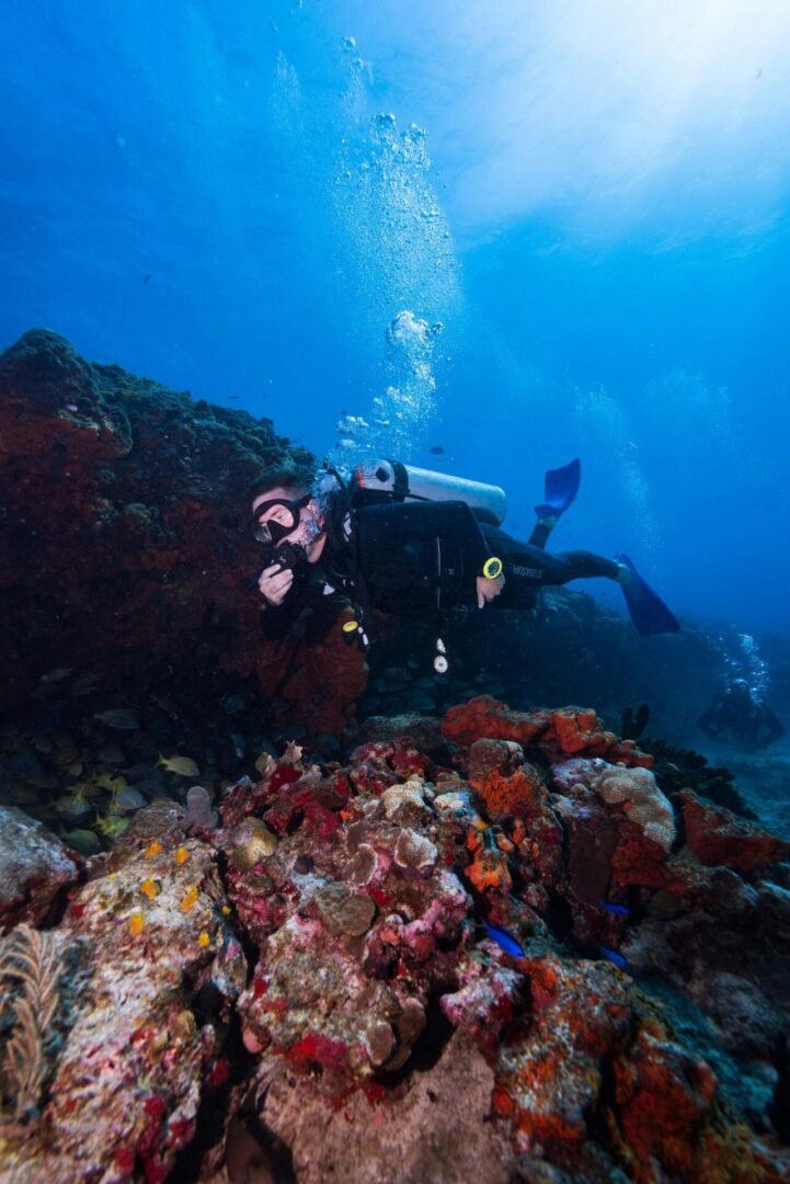 A scuba diver is swimming over the coral reef.