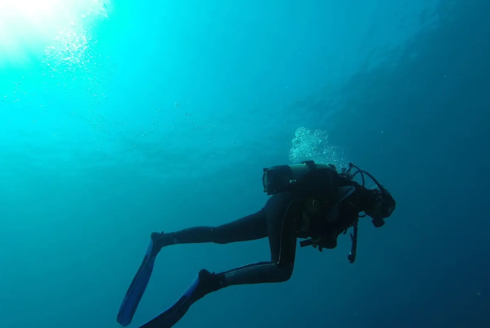 A scuba diver is swimming under the water.